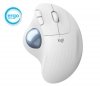 Logitech Trackball Logitech Ergo M575 Graphite      910-005872